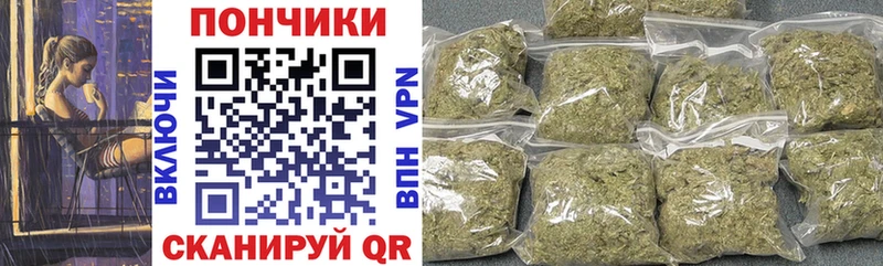 закладки  Пошехонье  Бошки марихуана ГИДРОПОН 